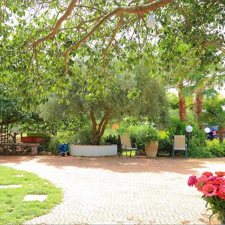 Villa Zahara Ribera Exterior foto