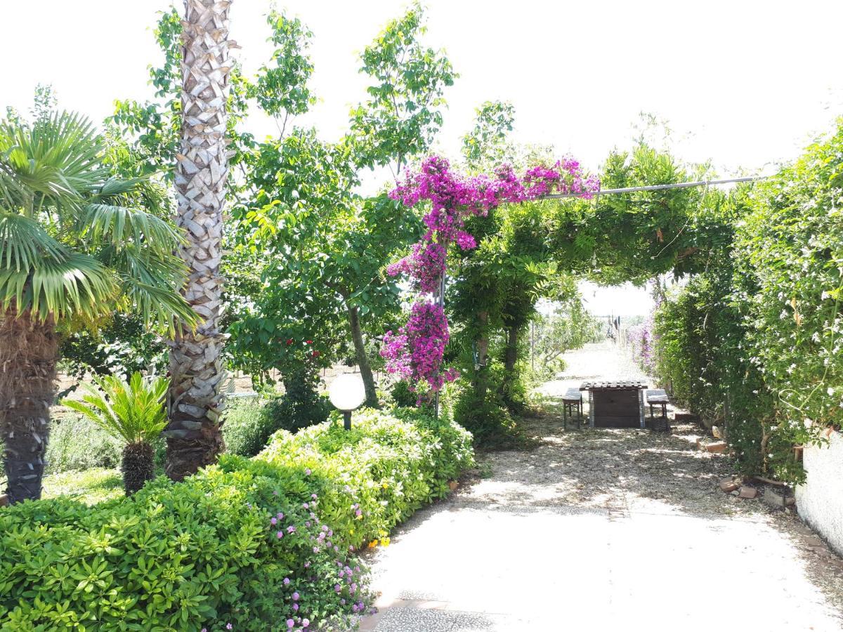 Villa Zahara Ribera Exterior foto